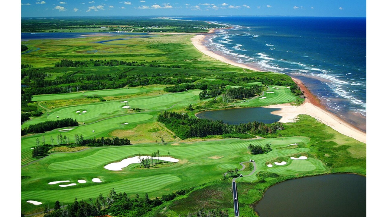 Photo of Others in Oyster Bed