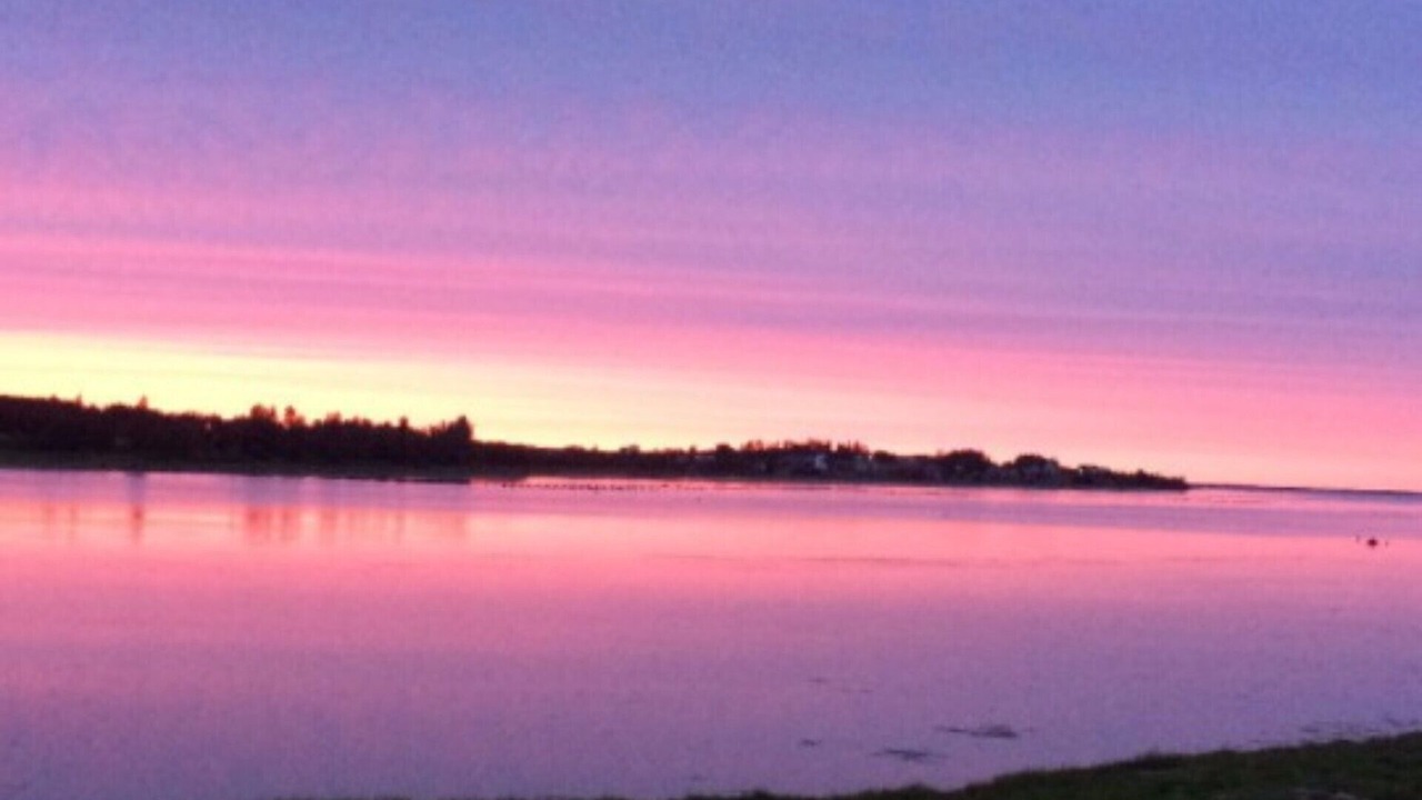 Photo of Others in Oyster Bed