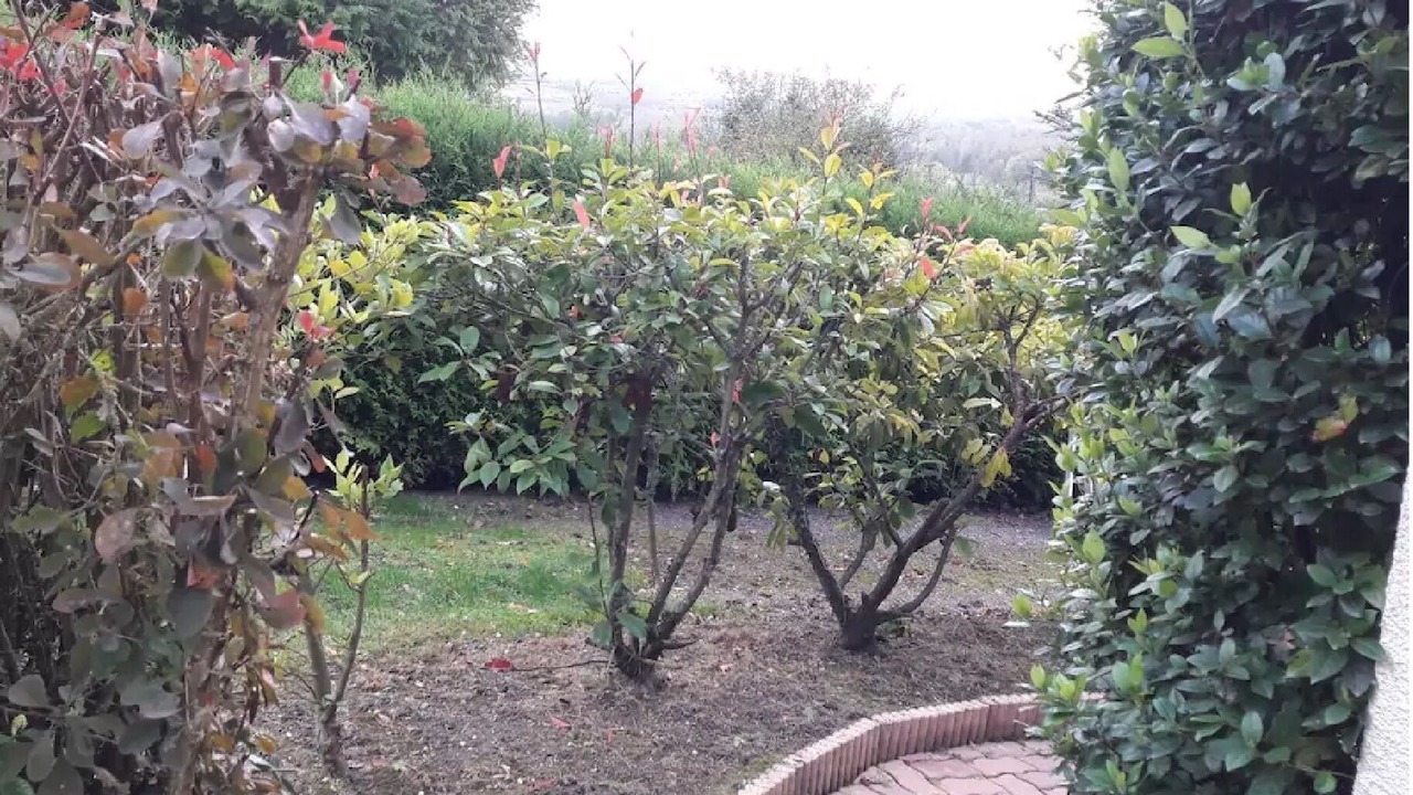 Photo of Outdoor in Charteves