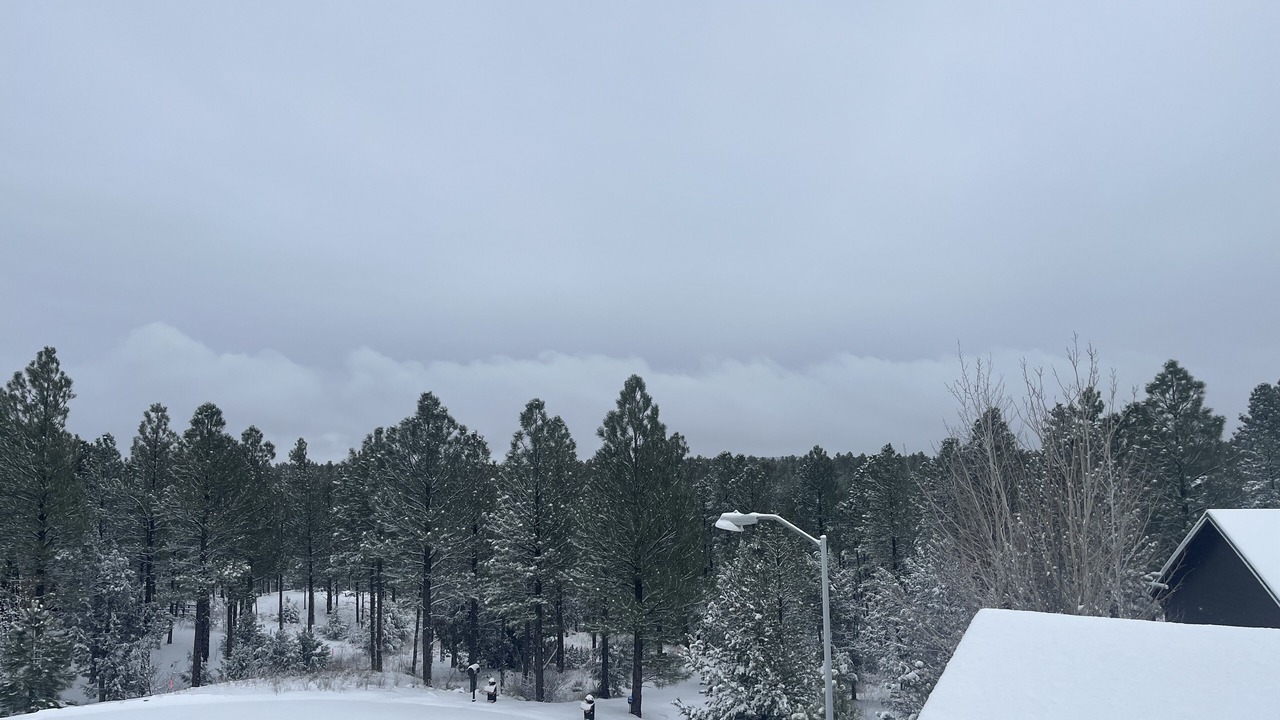 Photo of Outdoor in Show Low