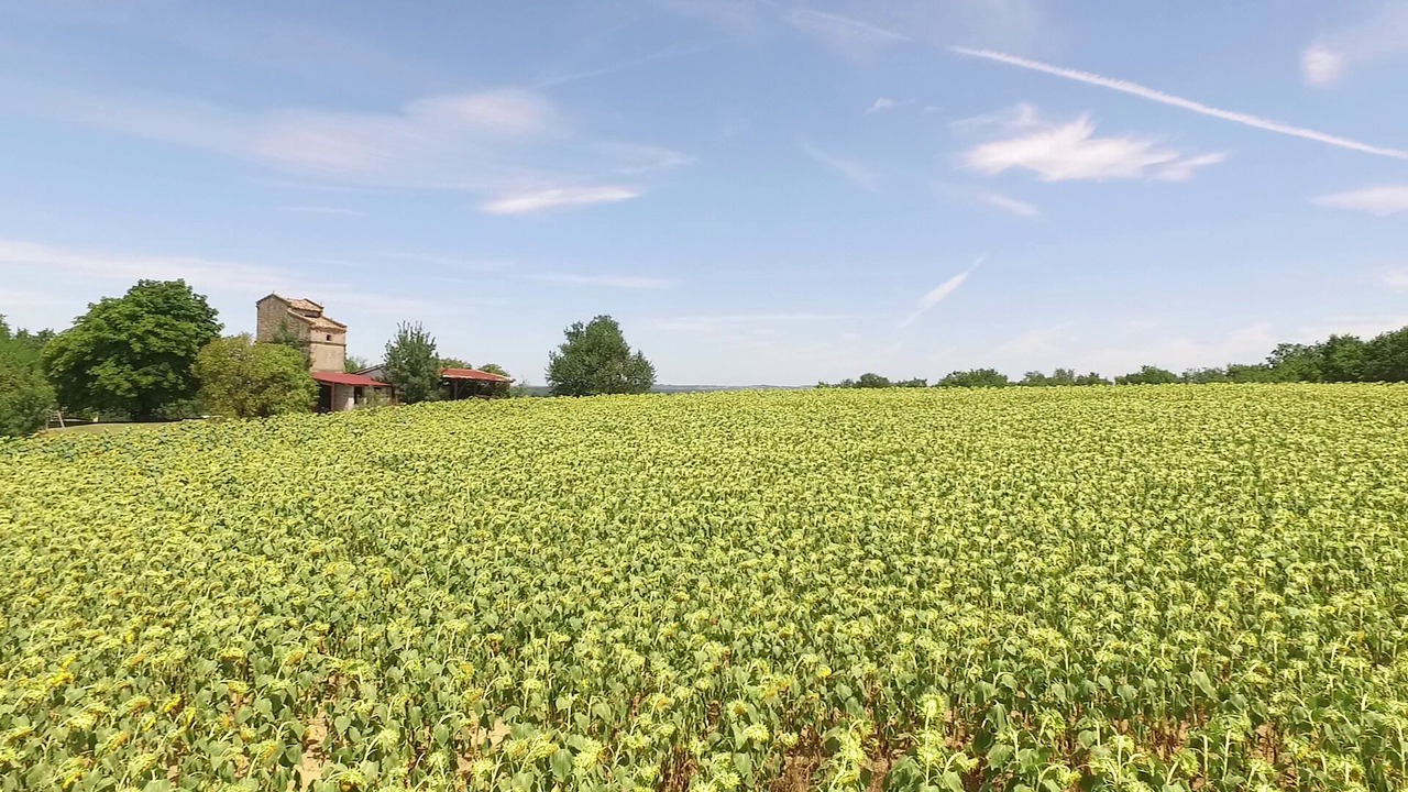 Photo of Outdoor in Caussade