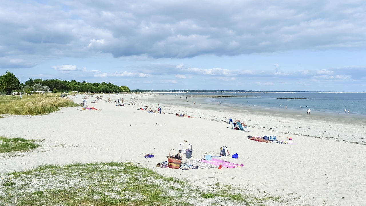 Photo of Others in Ile-Tudy