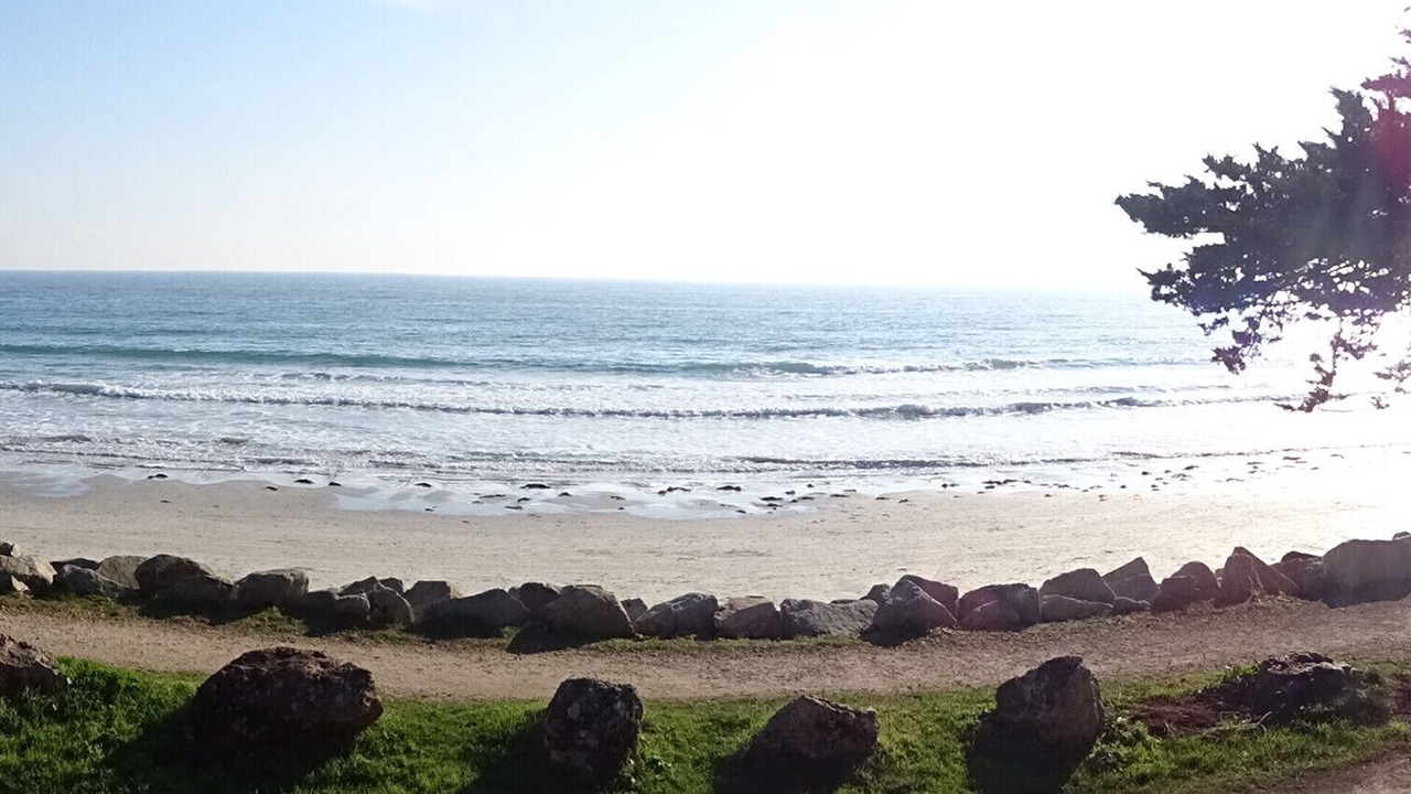 Photo of Others in Ile-Tudy