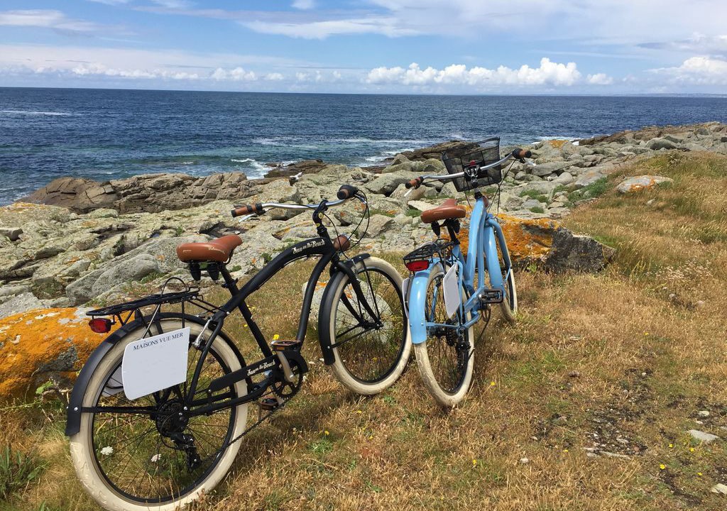 Photo of Others in Ile-Tudy