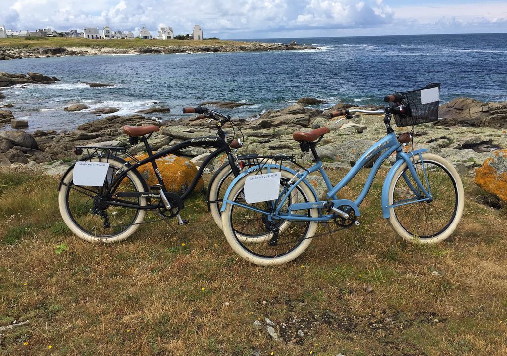 Photo of Others in Ile-Tudy