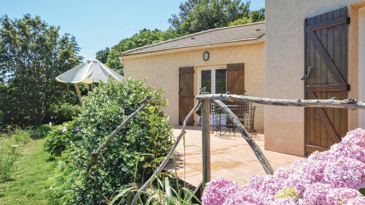 Photo of Others in Sisco