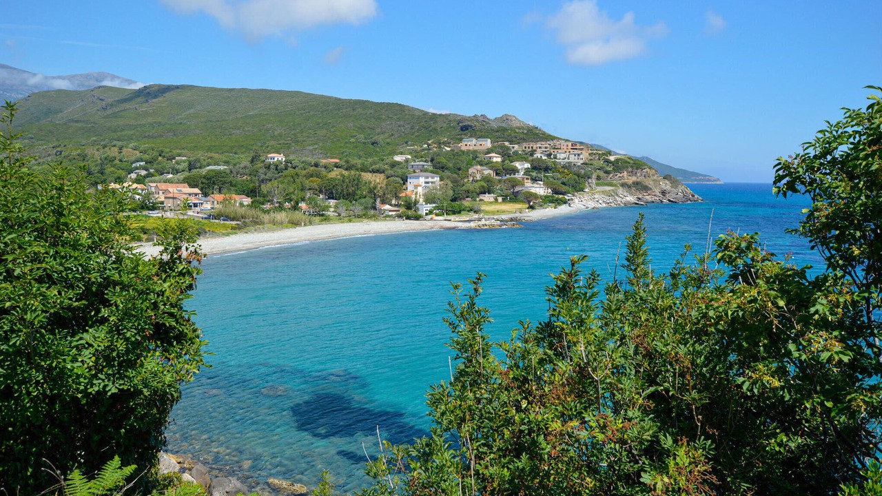 Photo of Others in Sisco