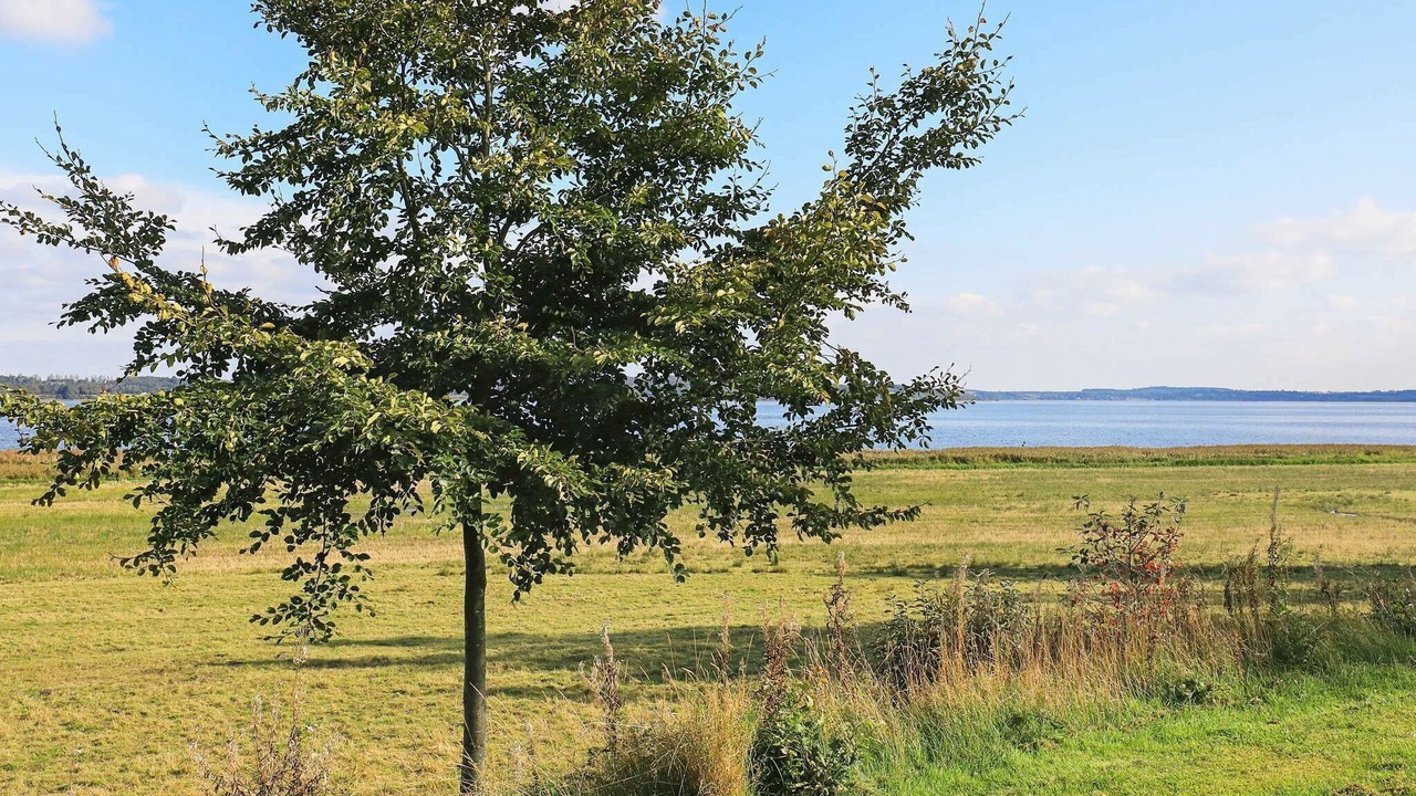Photo of Others in Hojslev