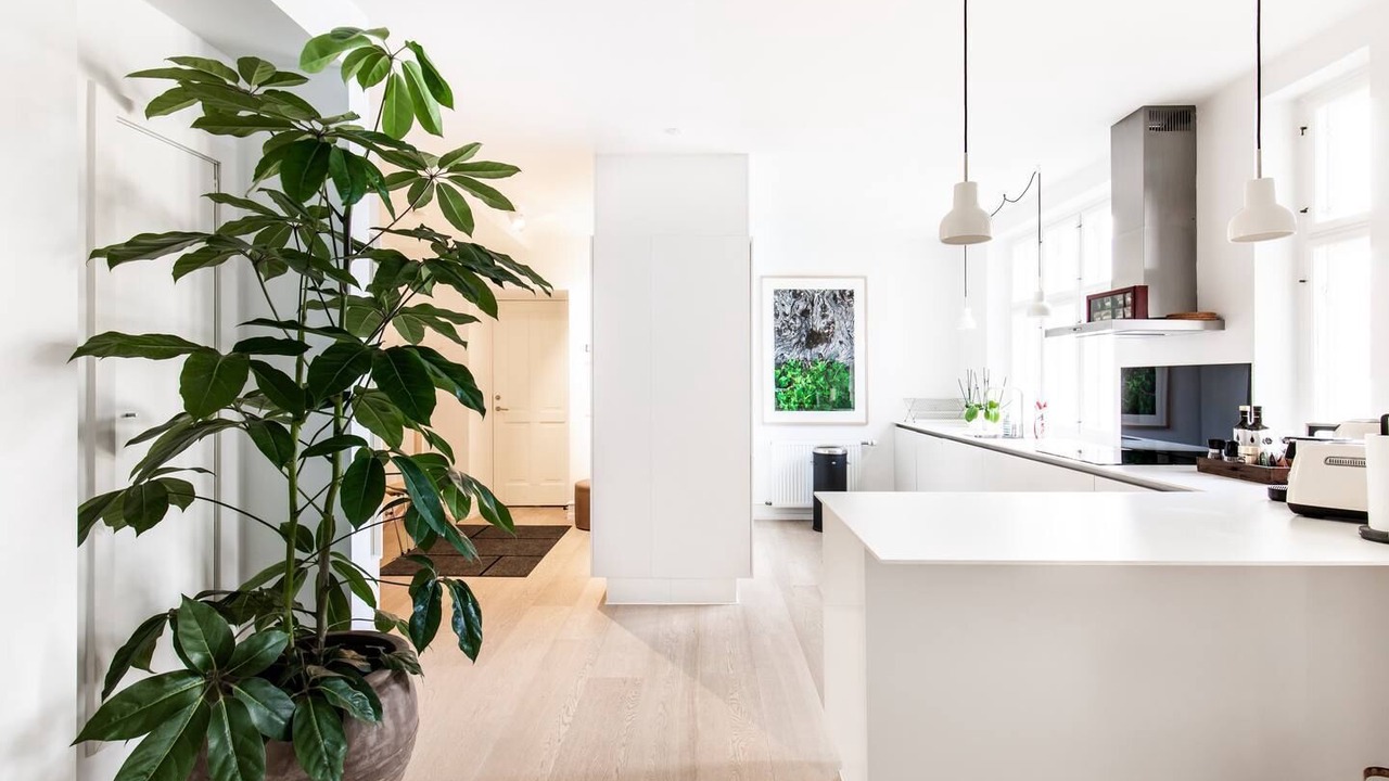 Photo of Kitchen in Copenhagen City Centre