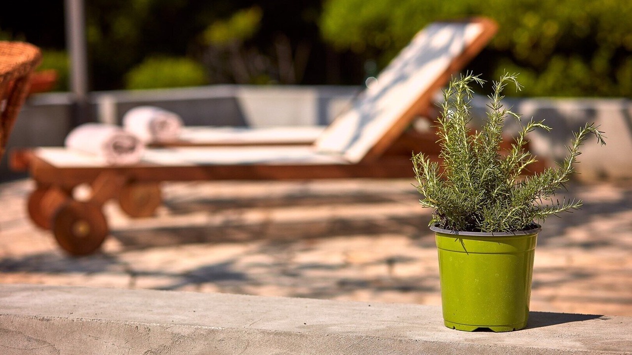 Photo of Outdoor in Garica