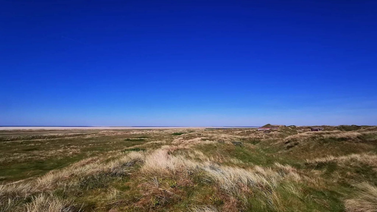 Photo of Others in Rindby Strand