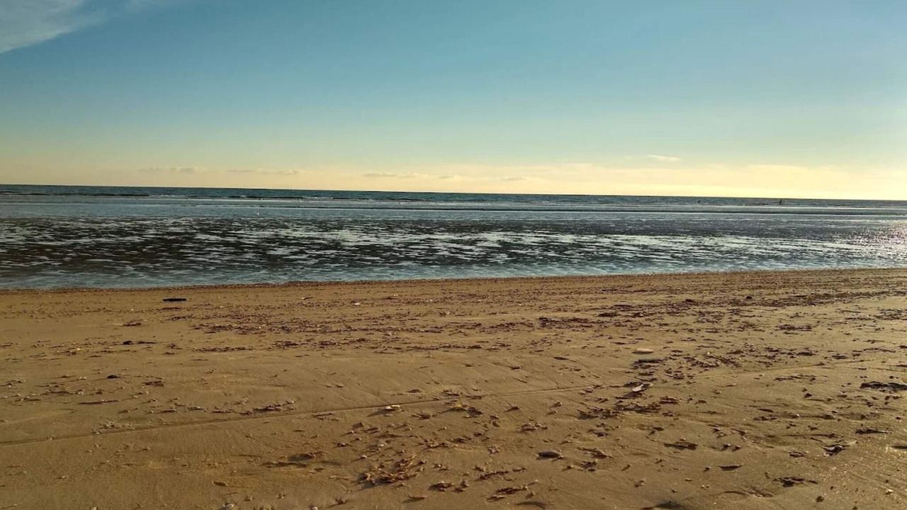 Photo of Others in Rindby Strand
