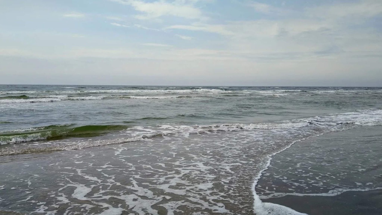 Photo of Others in Rindby Strand