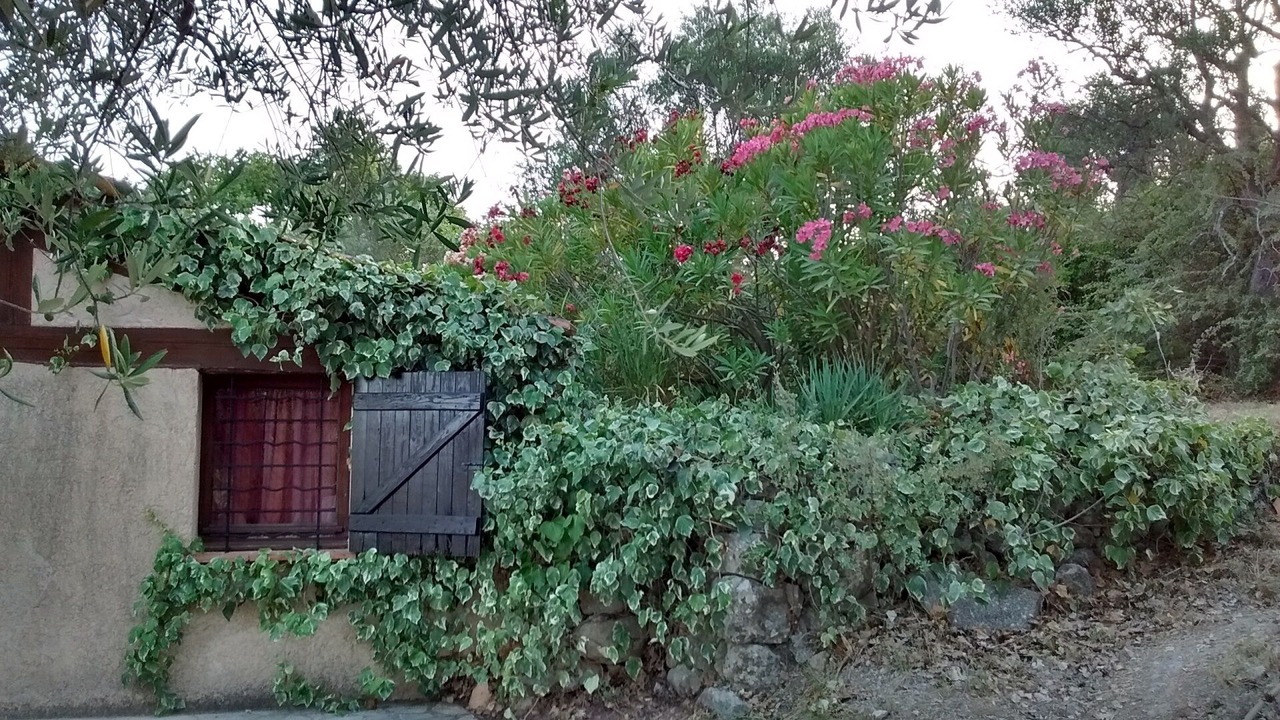 Photo of Outdoor in Le Tignet