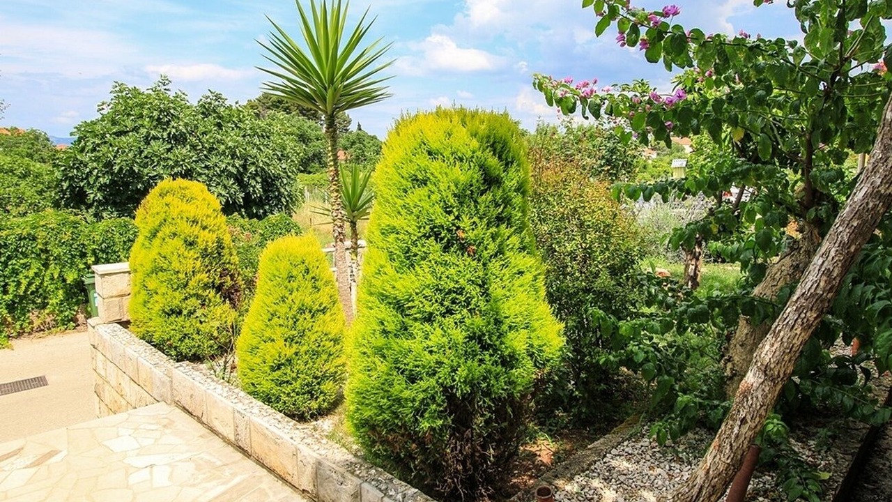 Photo of Outdoor in Trpanj