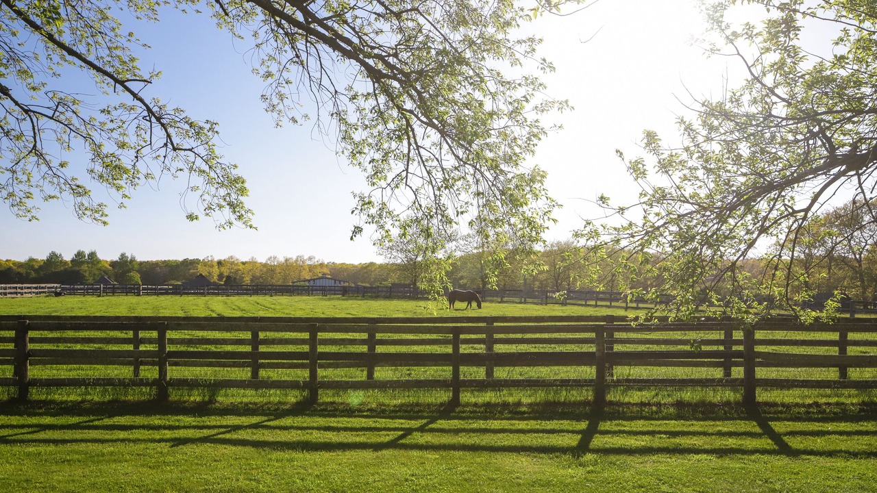Photo of Outdoor in Southampton