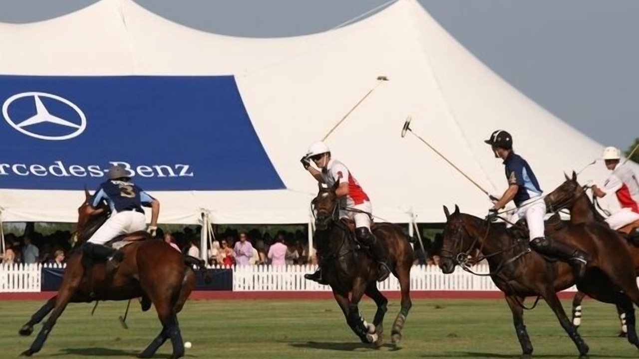 Photo of Others in Southampton