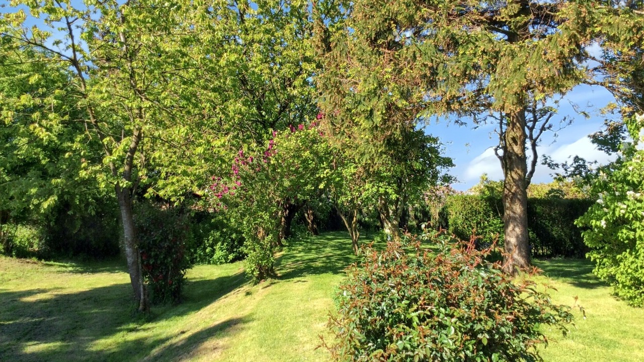 Photo of Outdoor in Mailly-Maillet