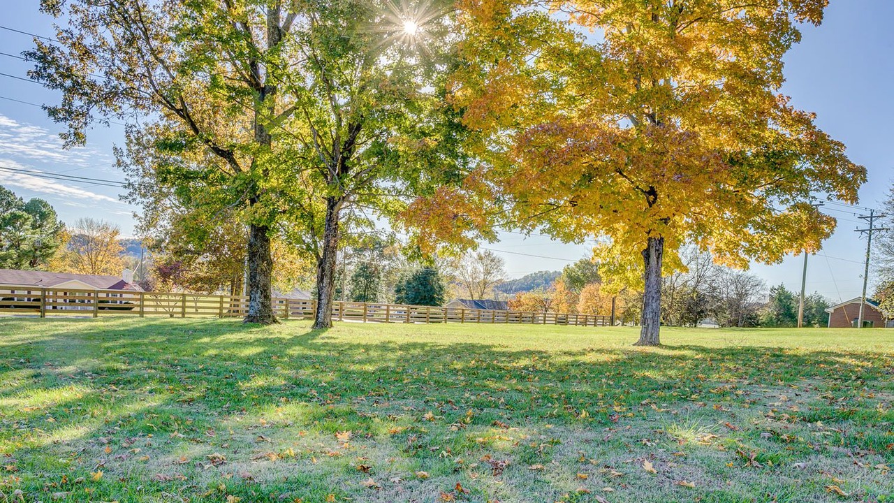 Photo of Outdoor in Franklin