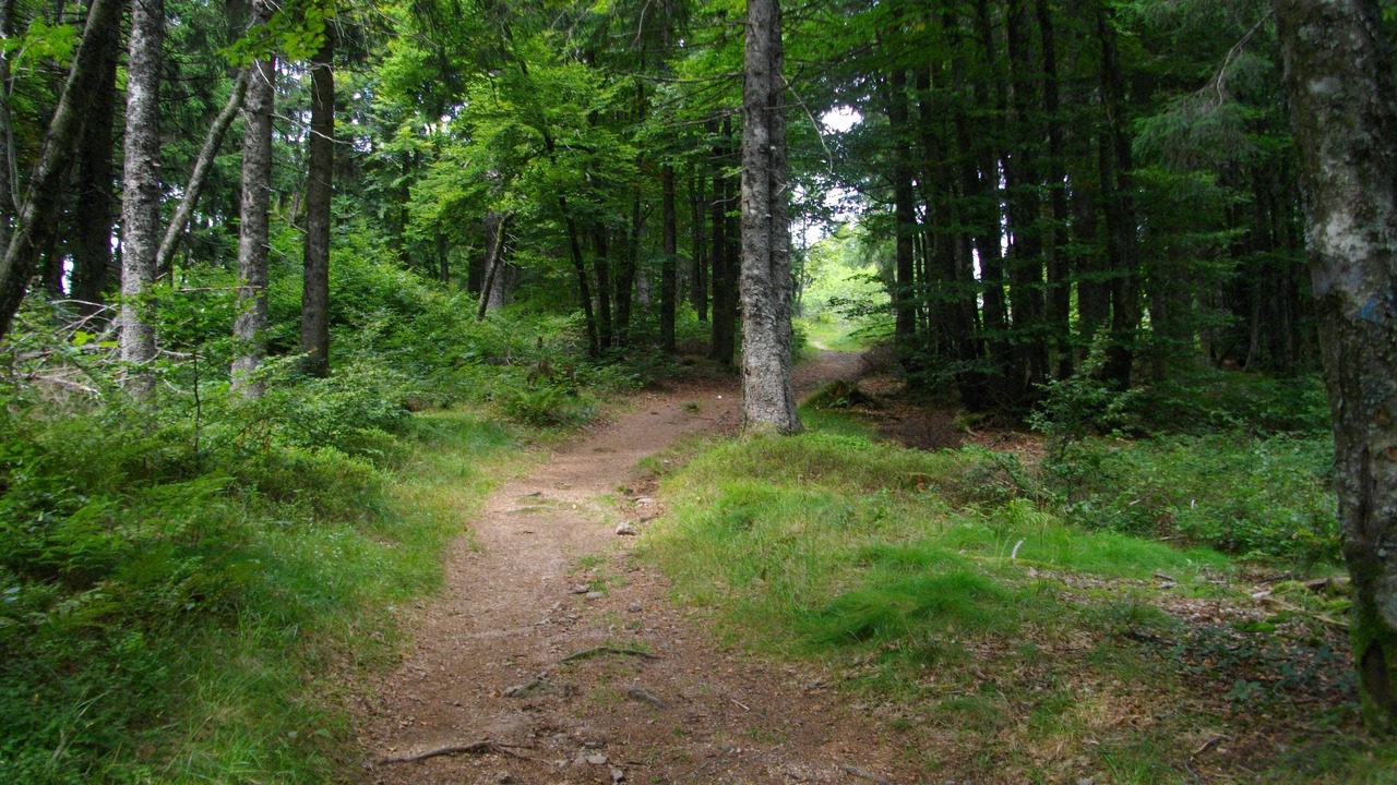 Photo of Outdoor in Saint-Maurice-sur-Moselle