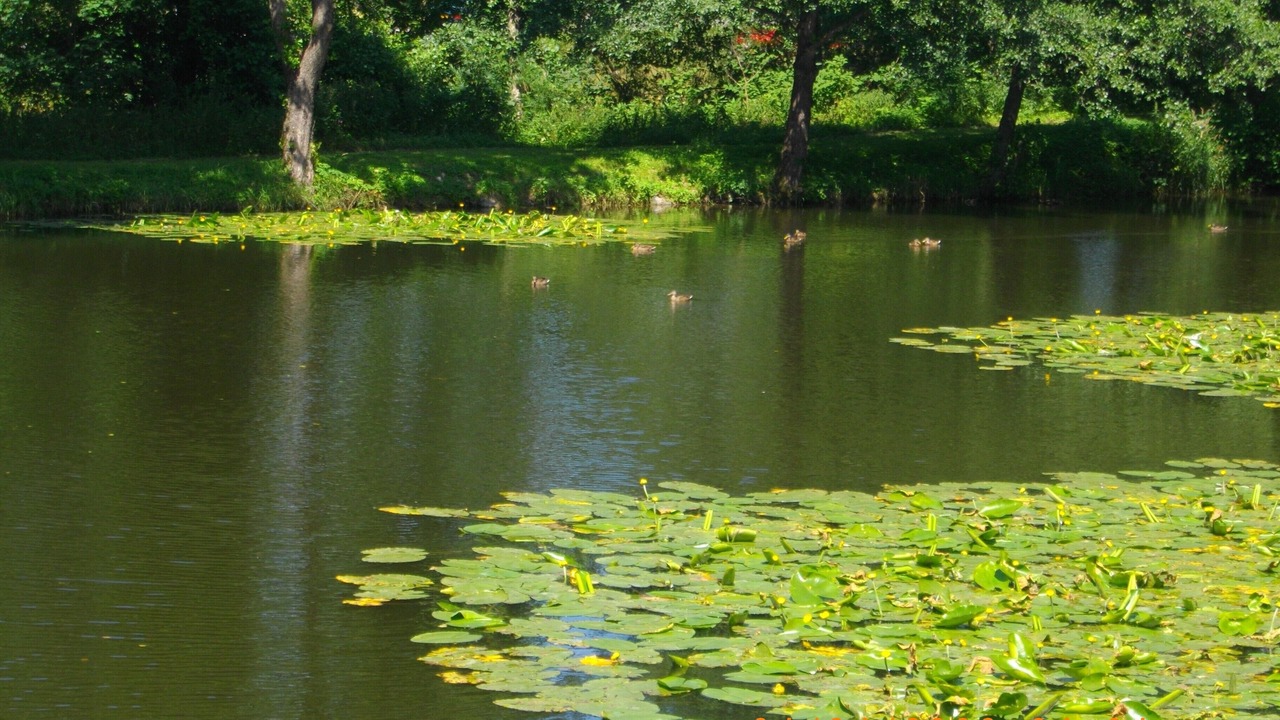 Photo of Outdoor in Saint-Maurice-sur-Moselle
