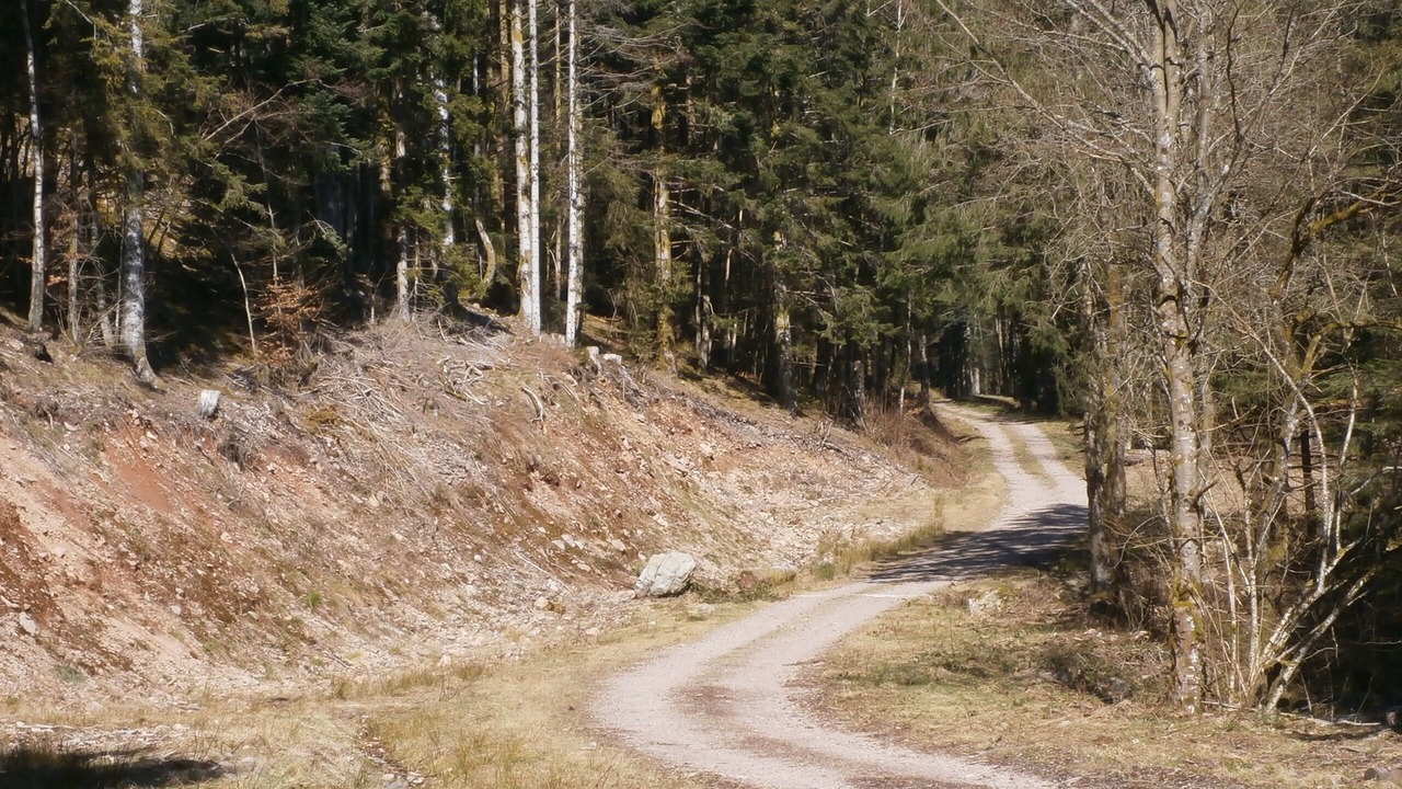 Photo of Outdoor in Saint-Maurice-sur-Moselle
