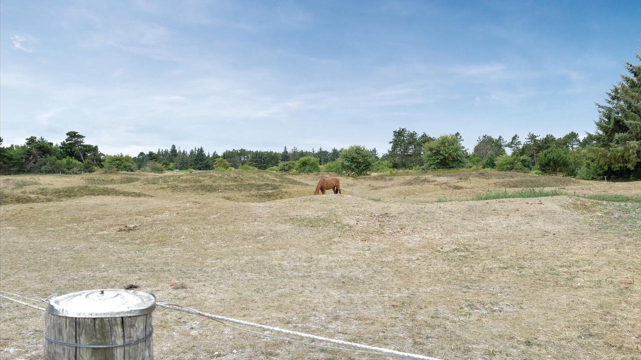 Photo of Others in Rømø Kirkeby