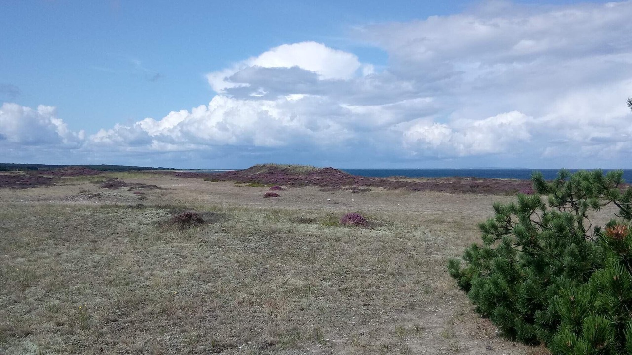 Photo of Others in Læsø