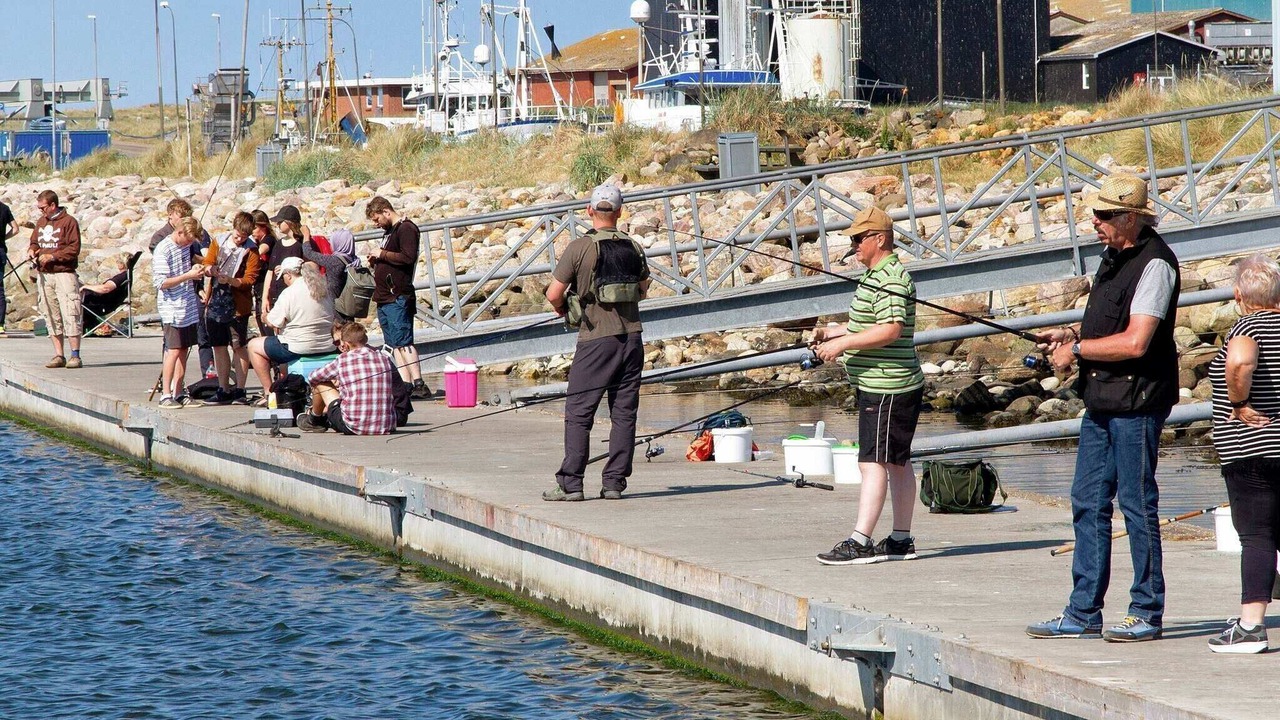 Photo of Outdoor in Sondervig
