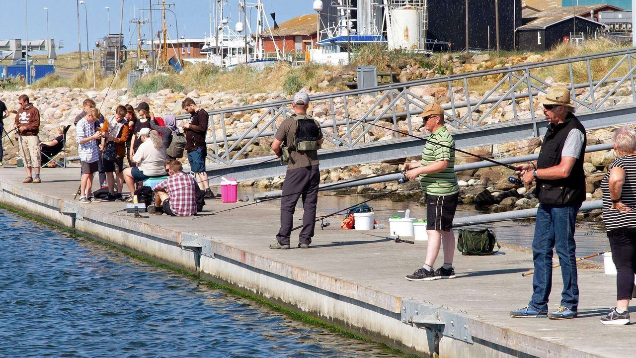 Photo of Outdoor in Sondervig