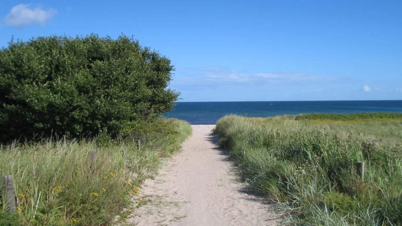 Photo of Others in Bøtø By