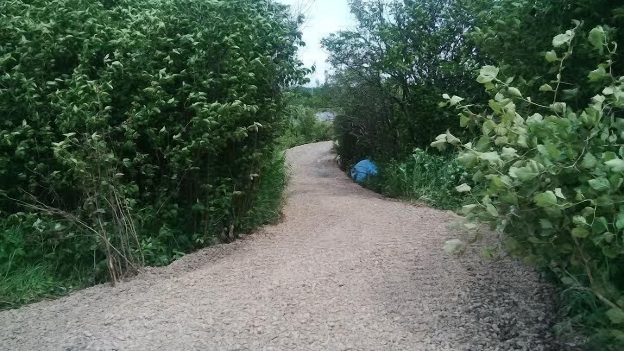 Photo of Others in Glen Huron
