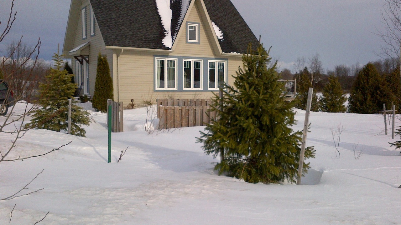 Photo of Others in Glen Huron