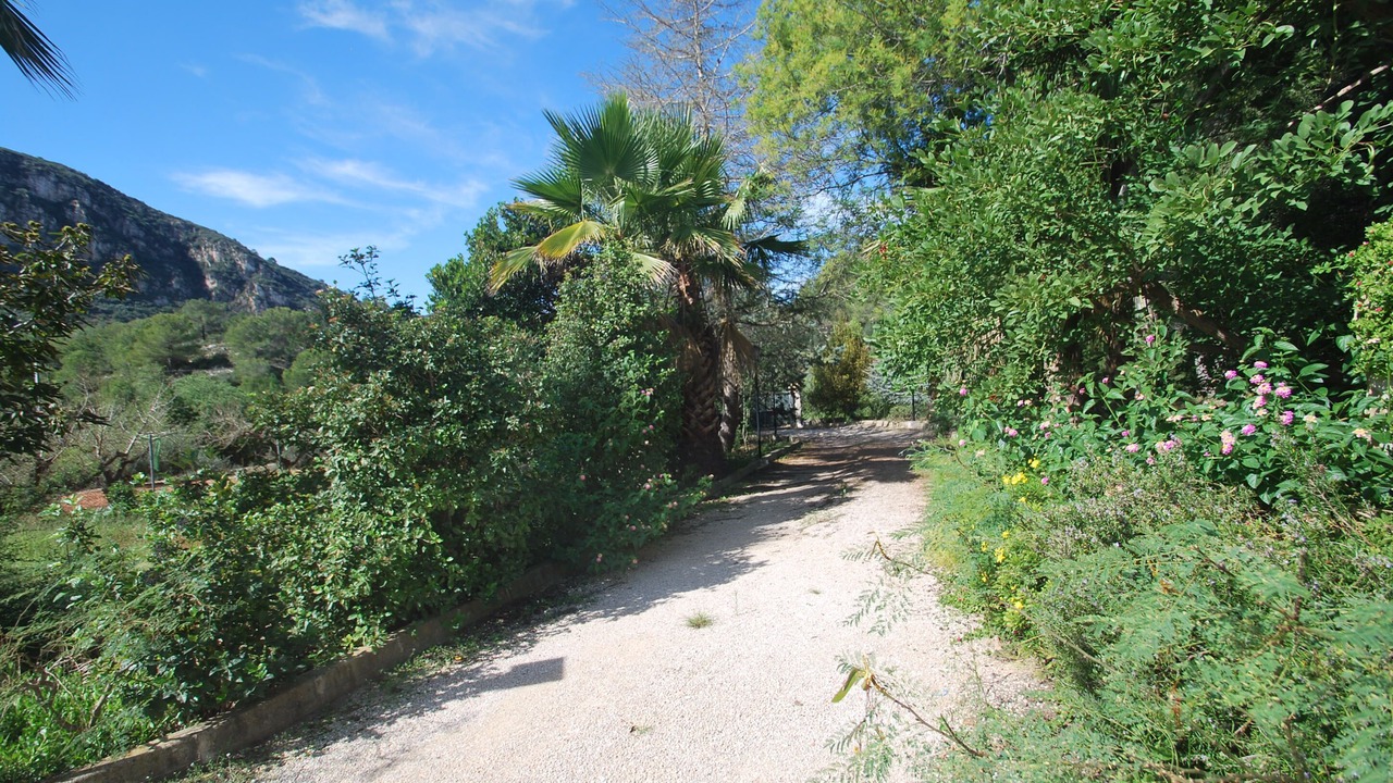 Photo of Outdoor in Barig