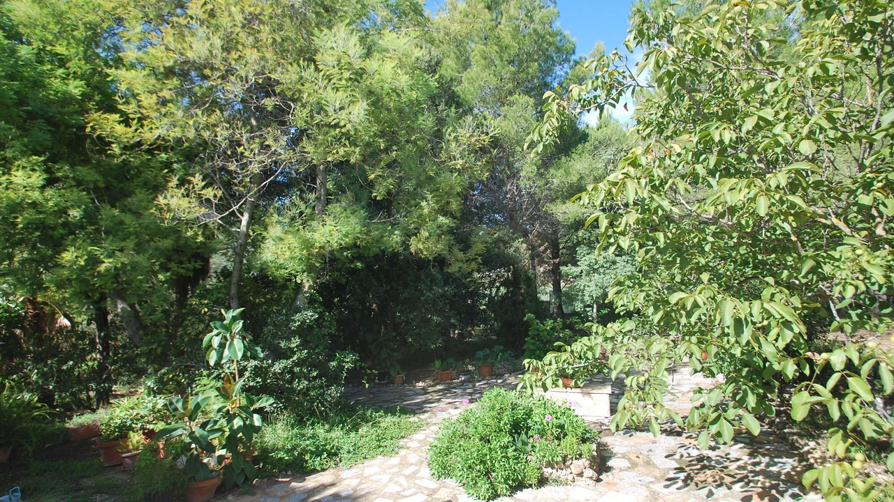 Photo of Outdoor in Barig