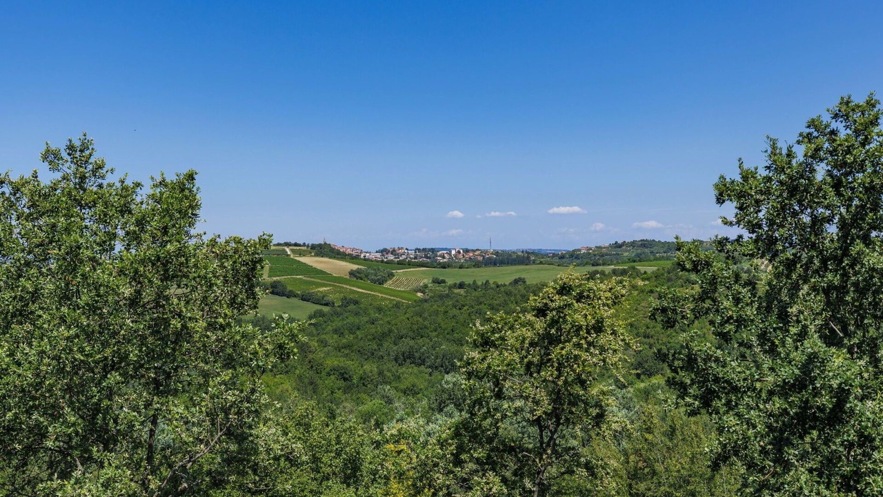 Photo of Others in Baredine