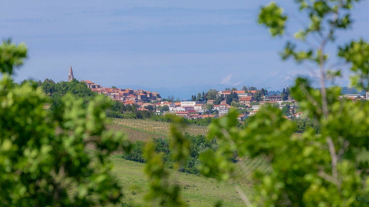 Photo of Others in Baredine