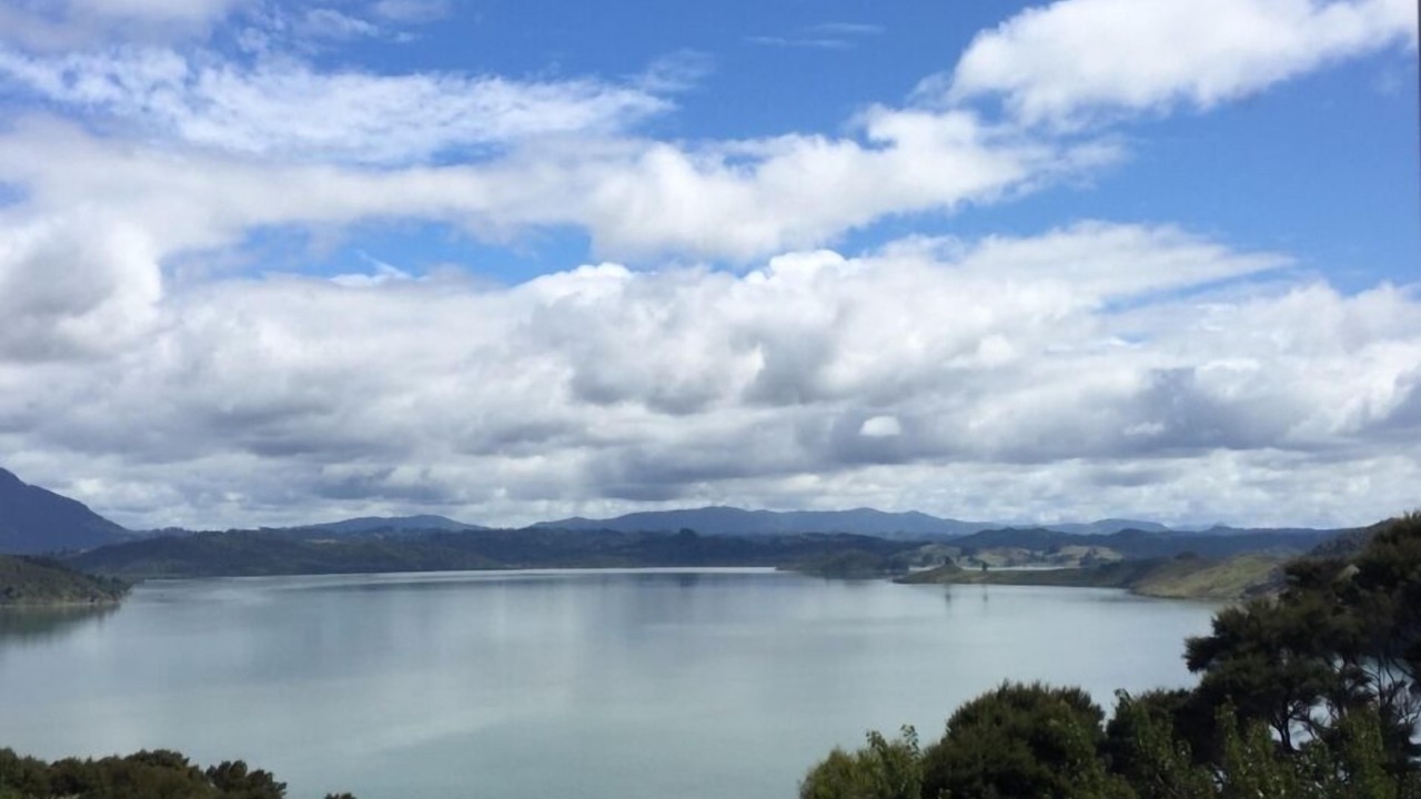 Photo of Others in Whirinaki