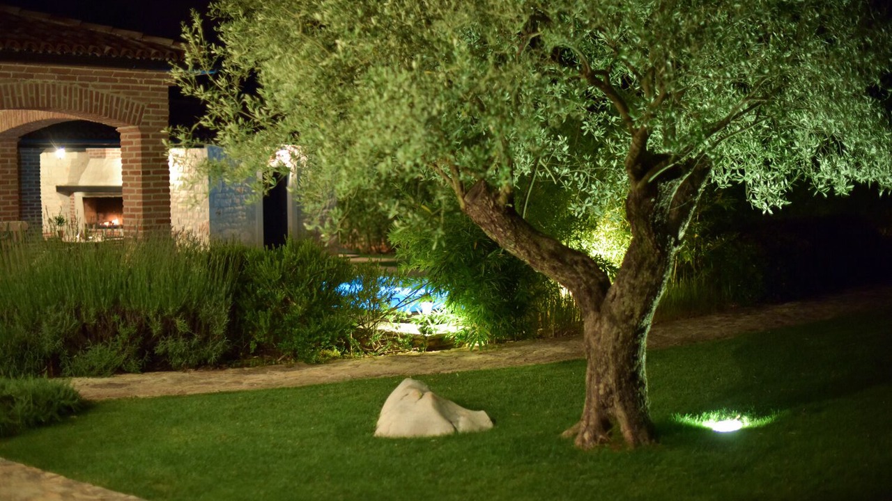Photo of Outdoor in Baderna