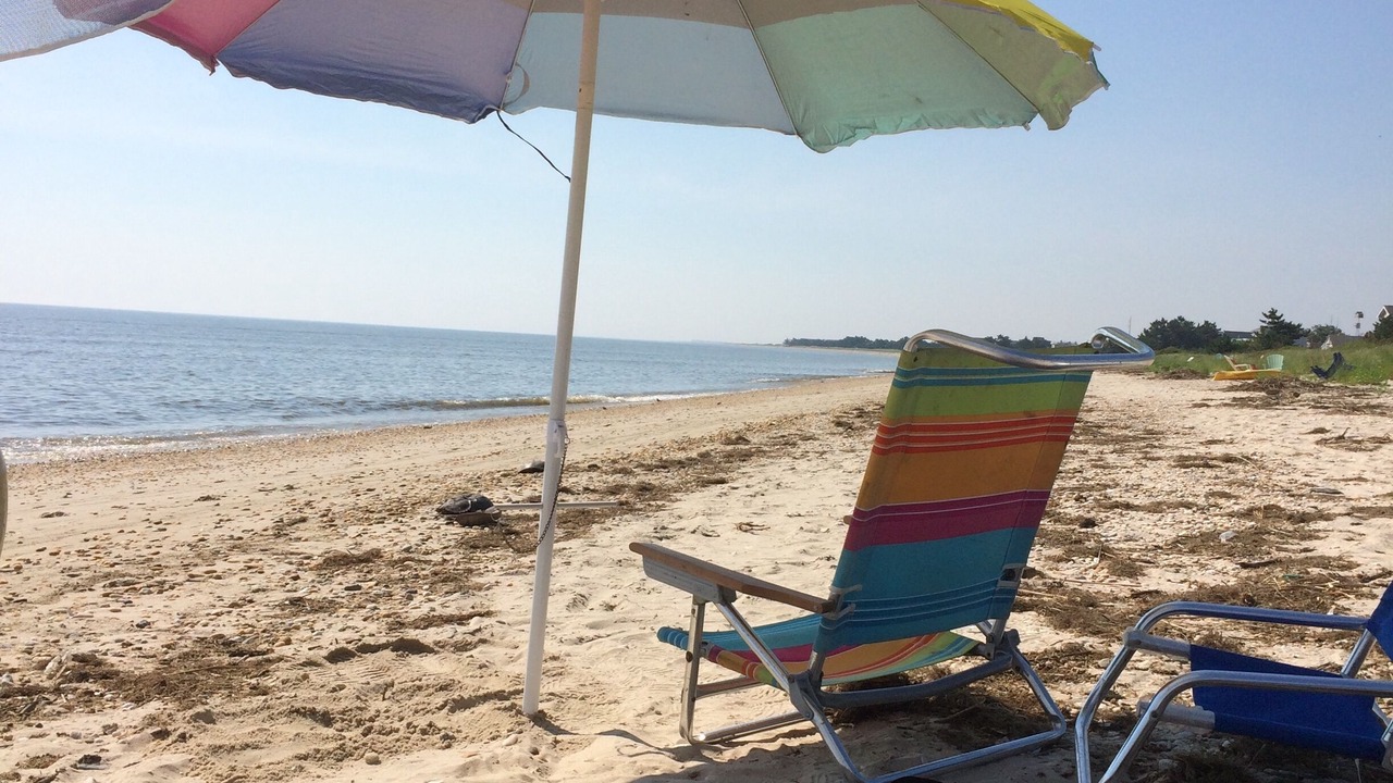 Photo of Others in Slaughter Beach