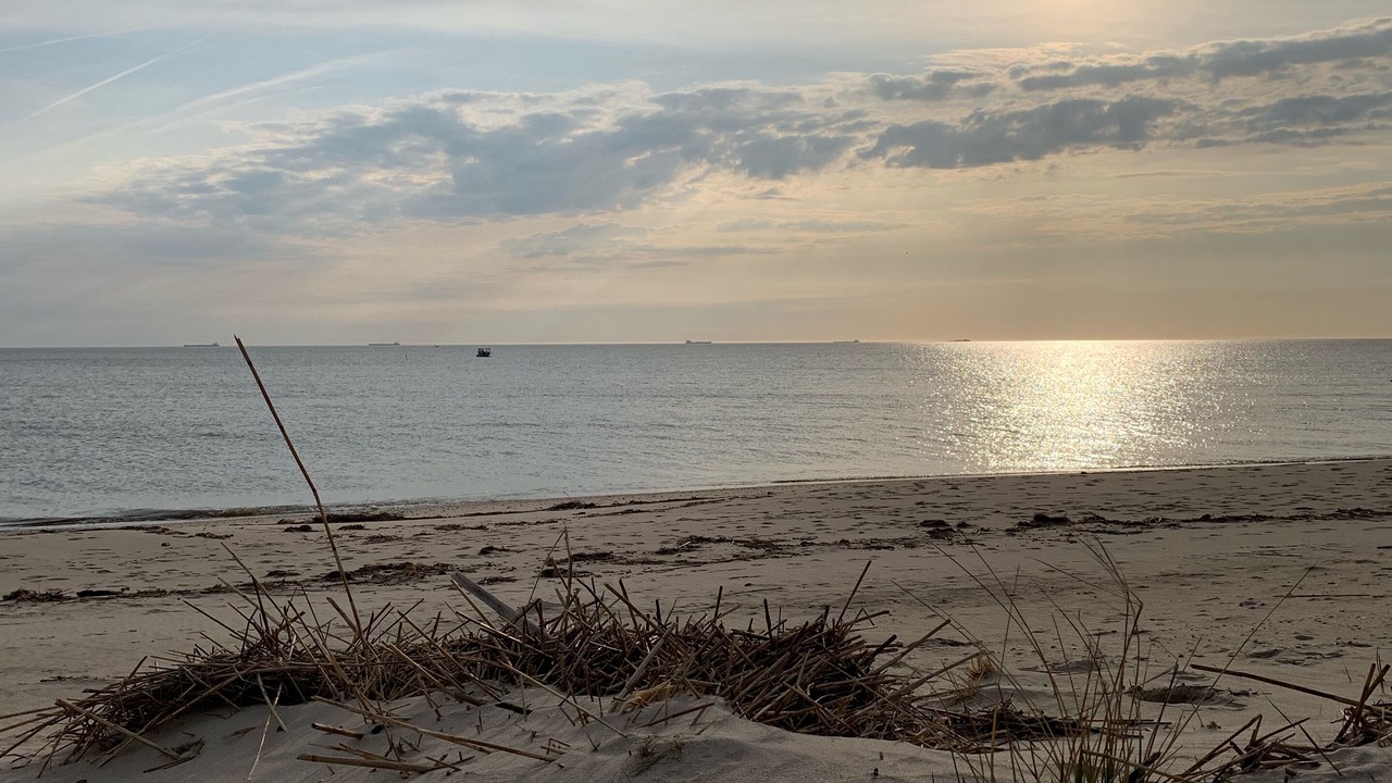 Photo of Others in Slaughter Beach
