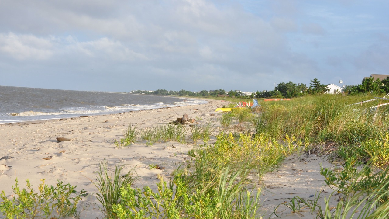 Photo of Others in Slaughter Beach