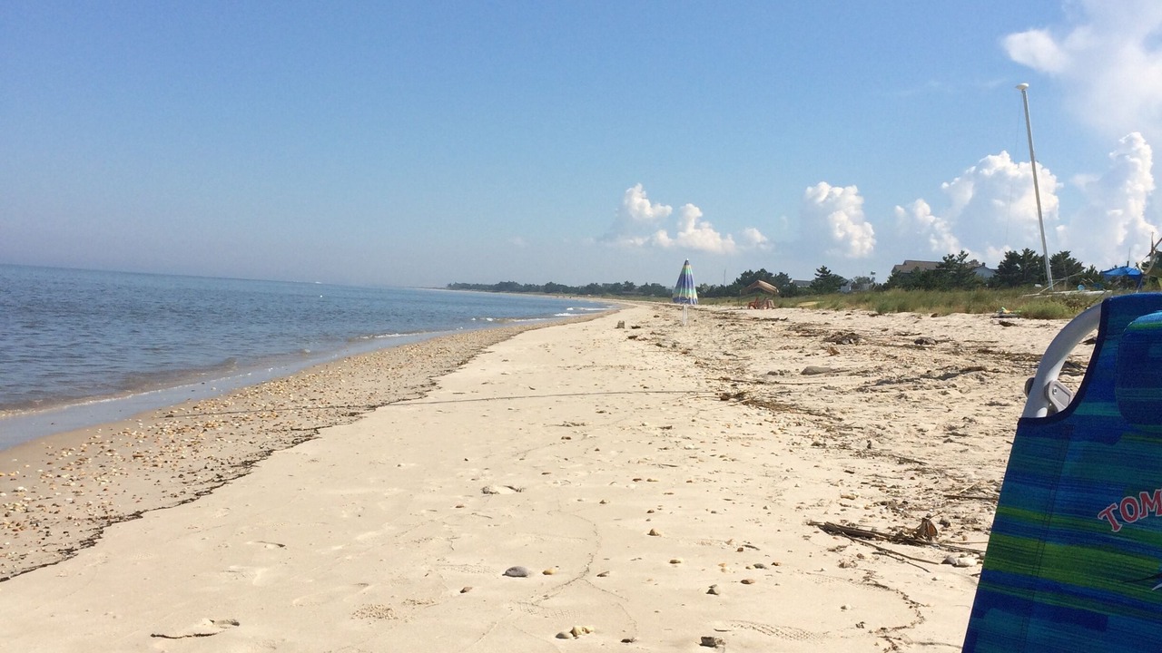 Photo of Others in Slaughter Beach