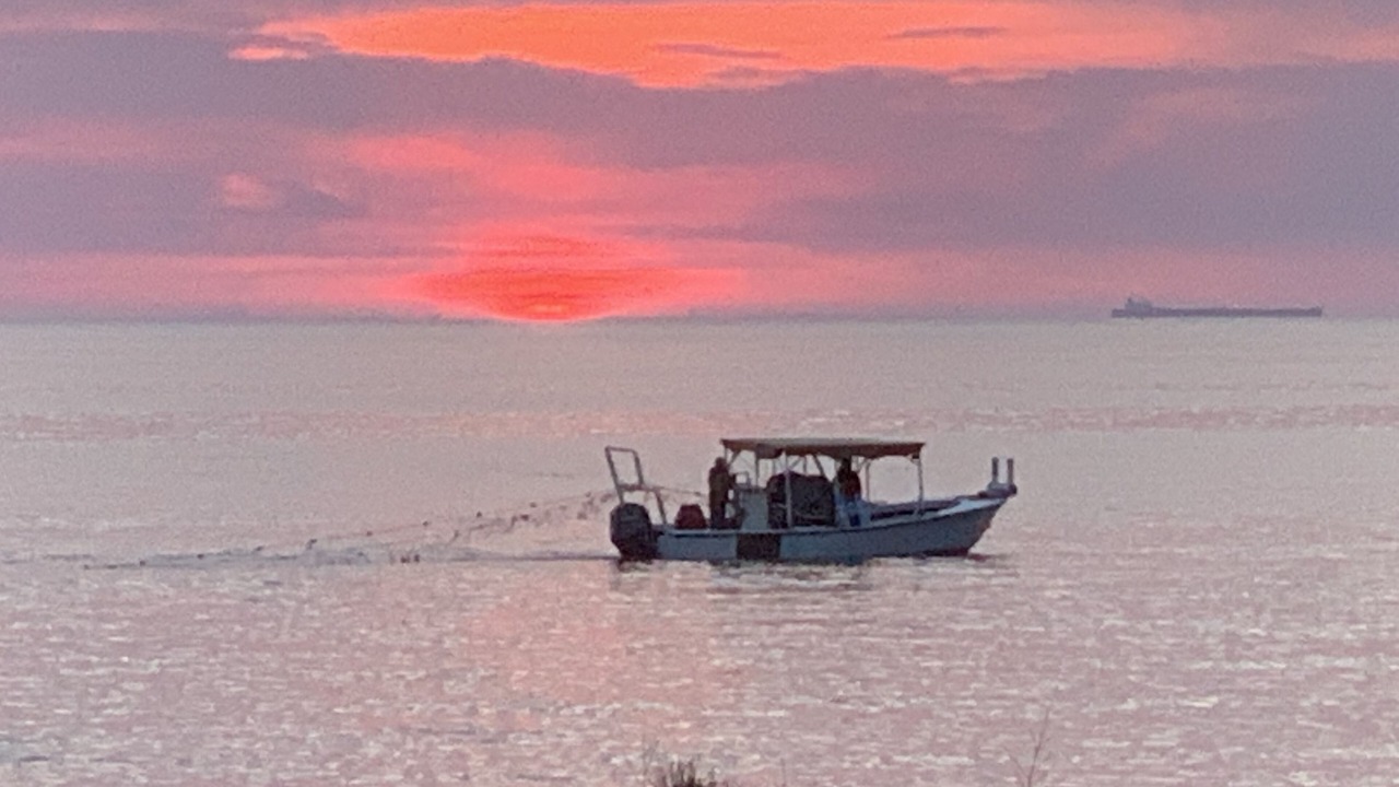 Photo of Others in Slaughter Beach