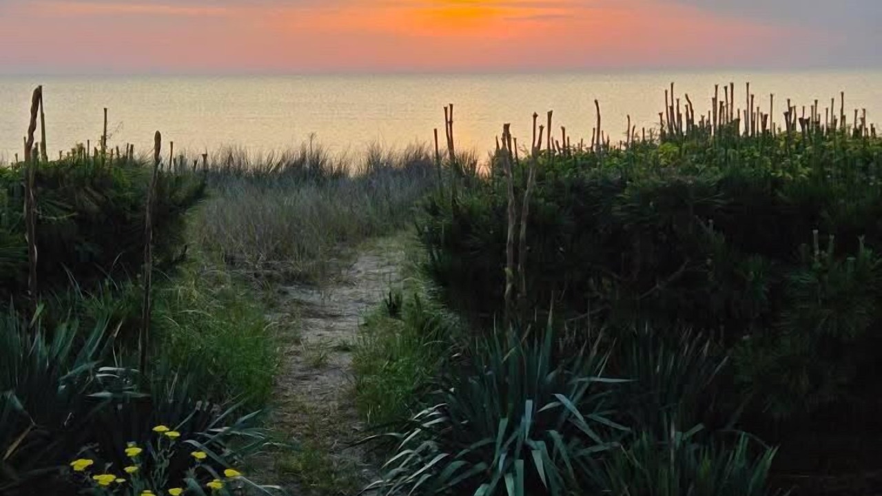 Photo of Others in Slaughter Beach