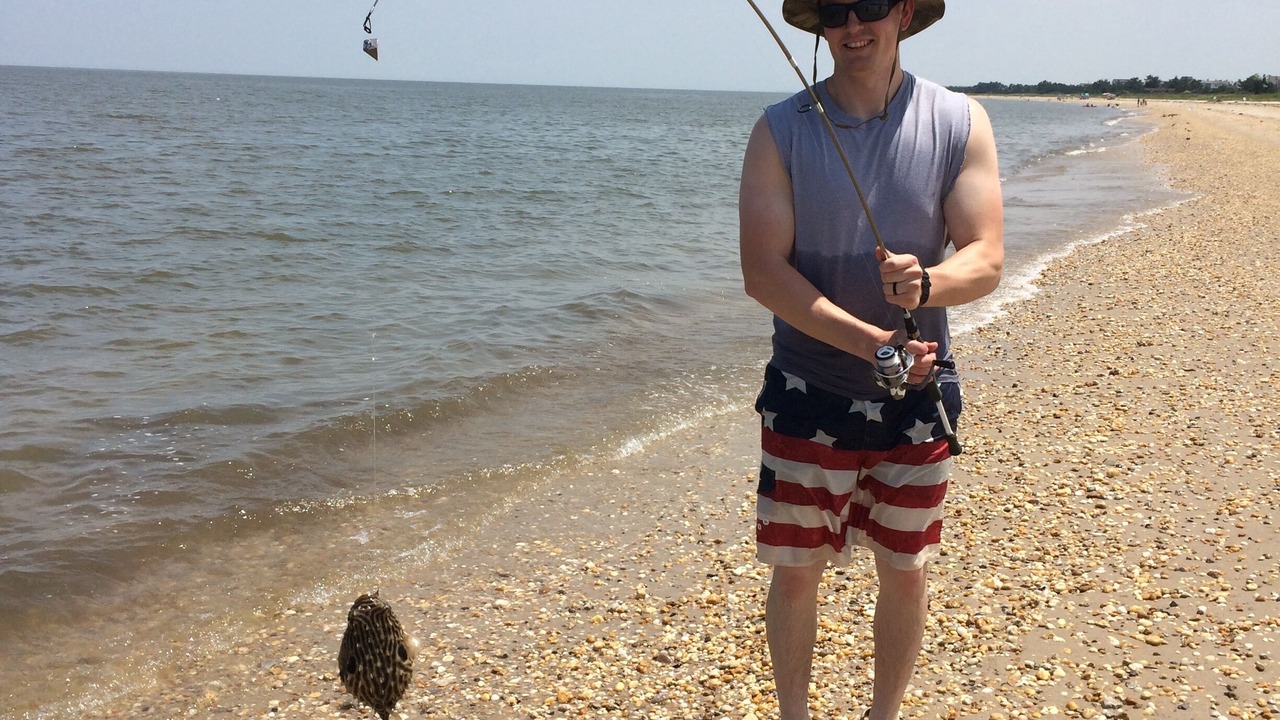 Photo of Others in Slaughter Beach