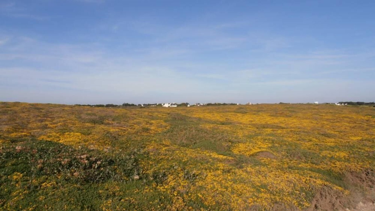 Photo of Others in Saint-Pierre-Quiberon