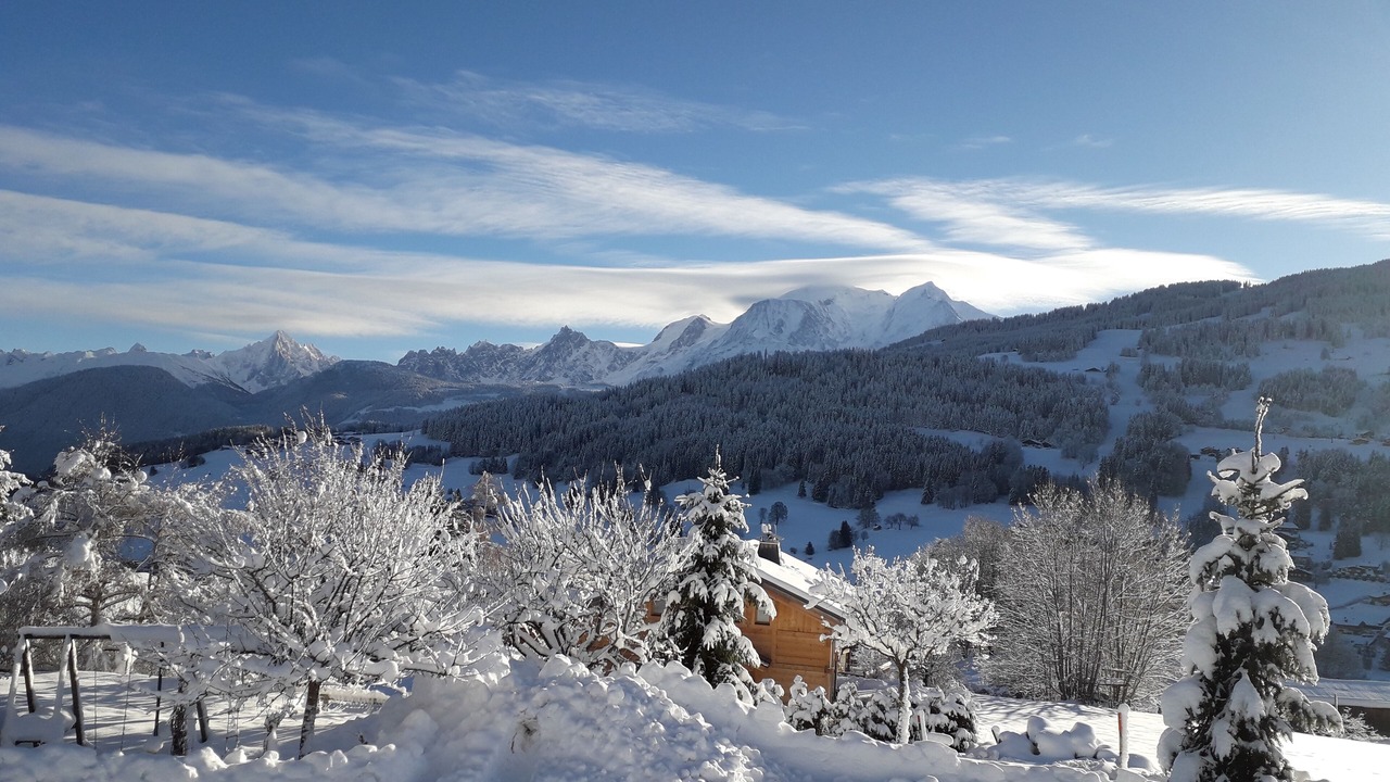 Photo of Others in Demi-Quartier