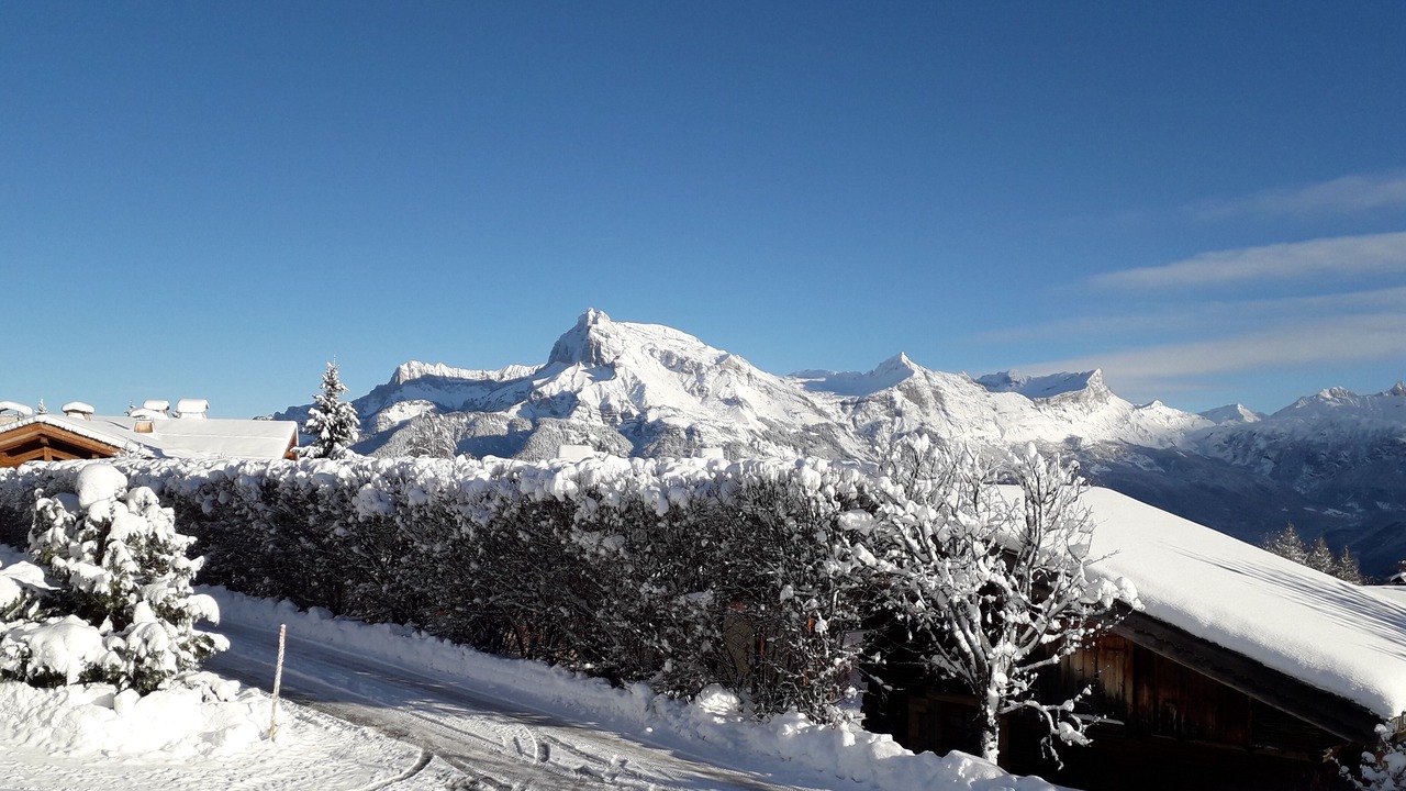 Photo of Others in Demi-Quartier