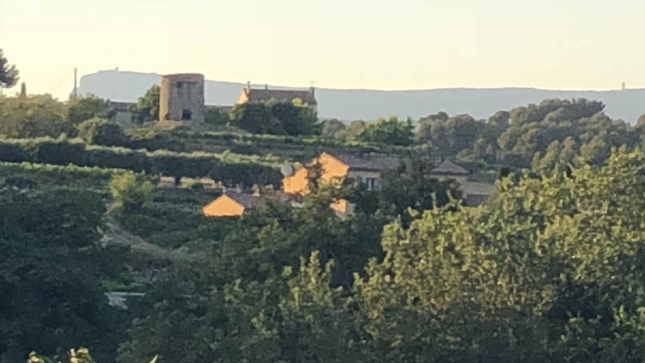 Photo of Others in Saint-Cyr-sur-Mer